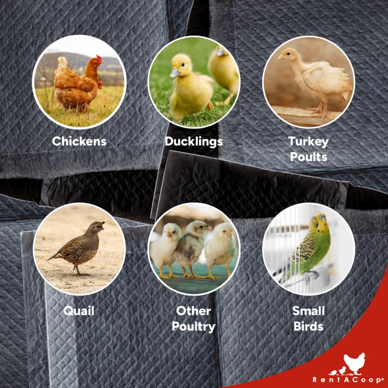 RentACoop hatchling liner pack of 12 fits Big Red Barn brooders.