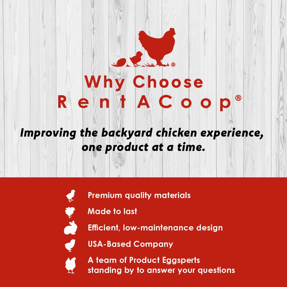 RentACoop Hatchling Liners showcased for quick cleanup in a real brooder.