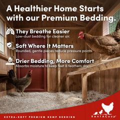 RentACoop hemp bedding close-up shows soft fibers for delicate feet.