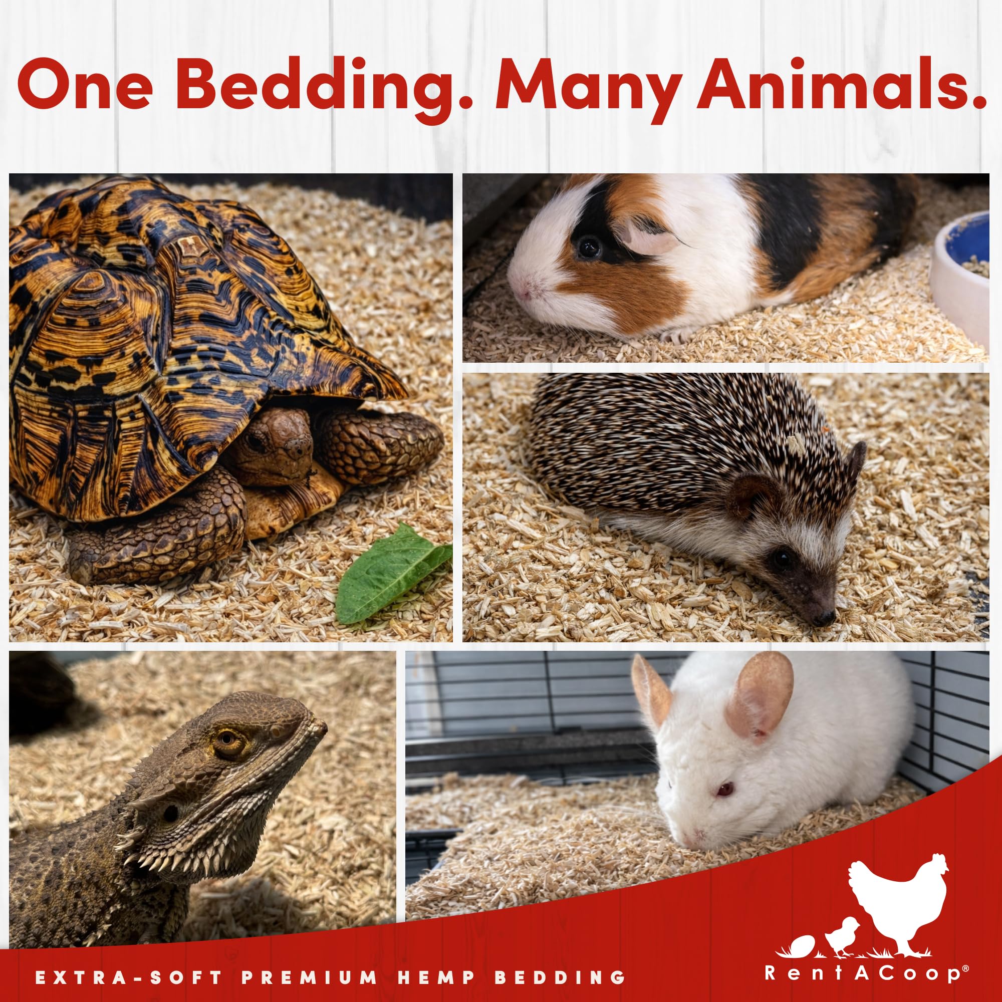 RentACoop nest box-friendly hemp bedding creates comfortable nesting spaces.
