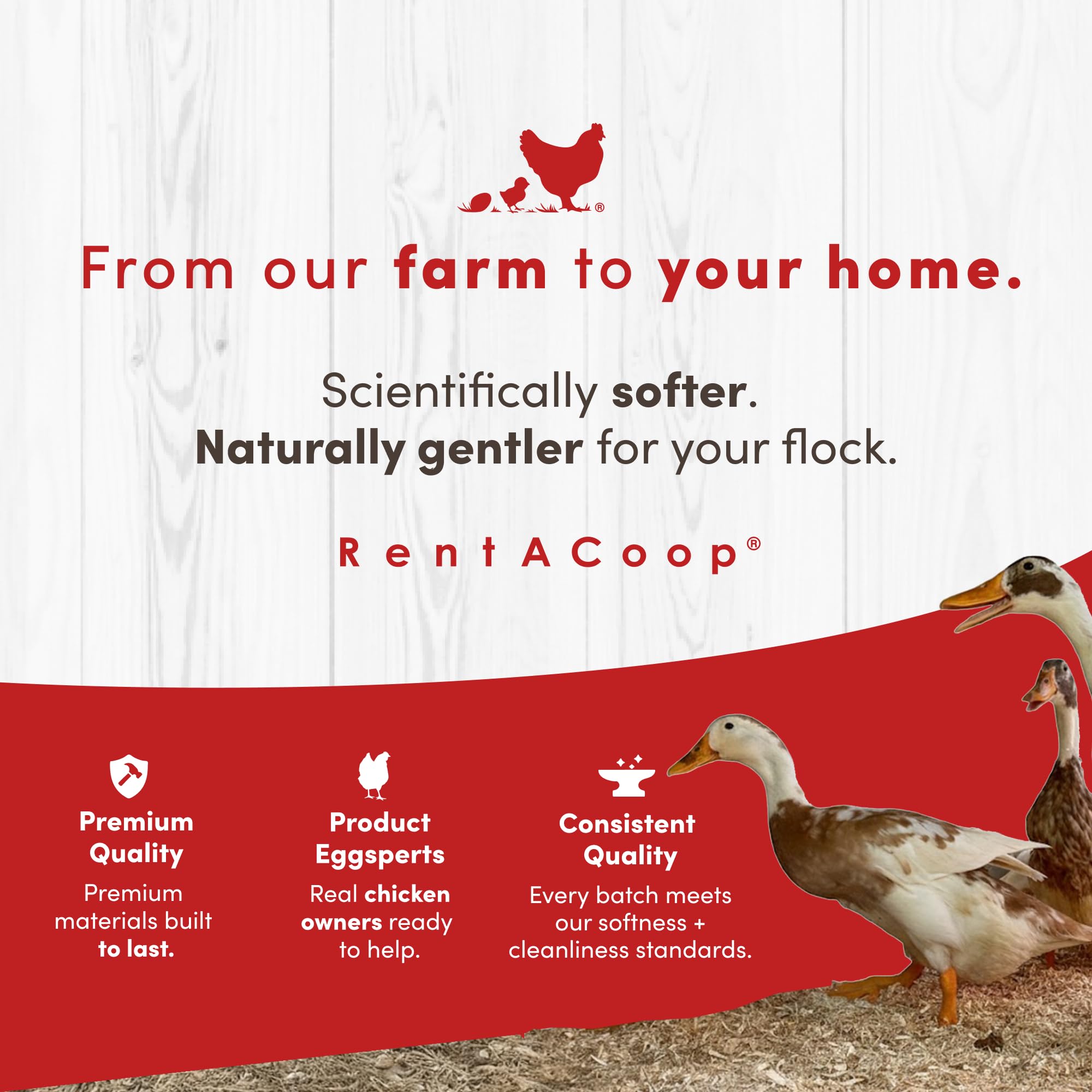 RentACoop sustainable hemp bedding as an eco-friendly alternative to shavings.