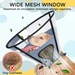 REOMORE e-collar made of transparent PVC for easy visibility and comfort.