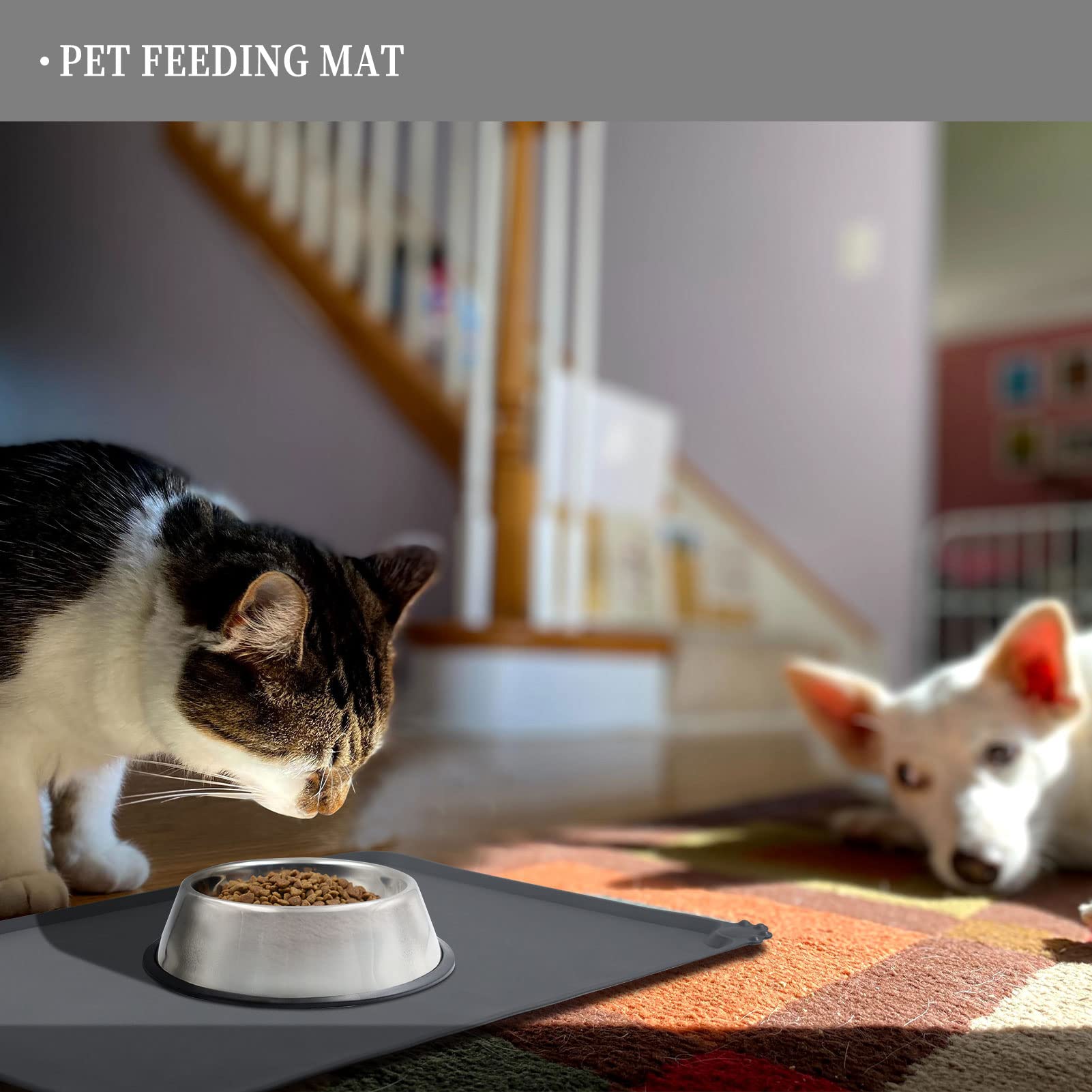 Reopet non-slip surface grips bowls for stable feeding sessions.