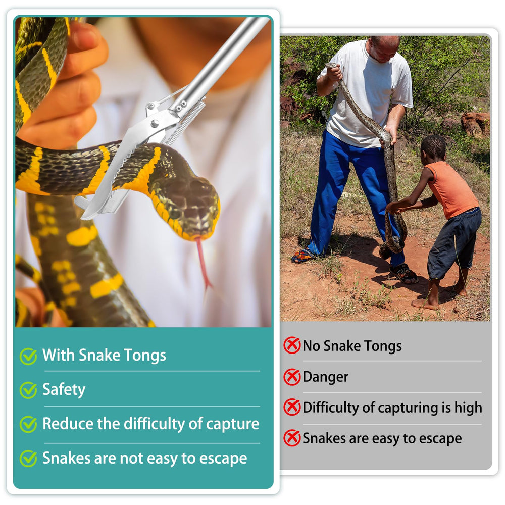 Repgfor multipurpose reptile tongs for lizards and spiders