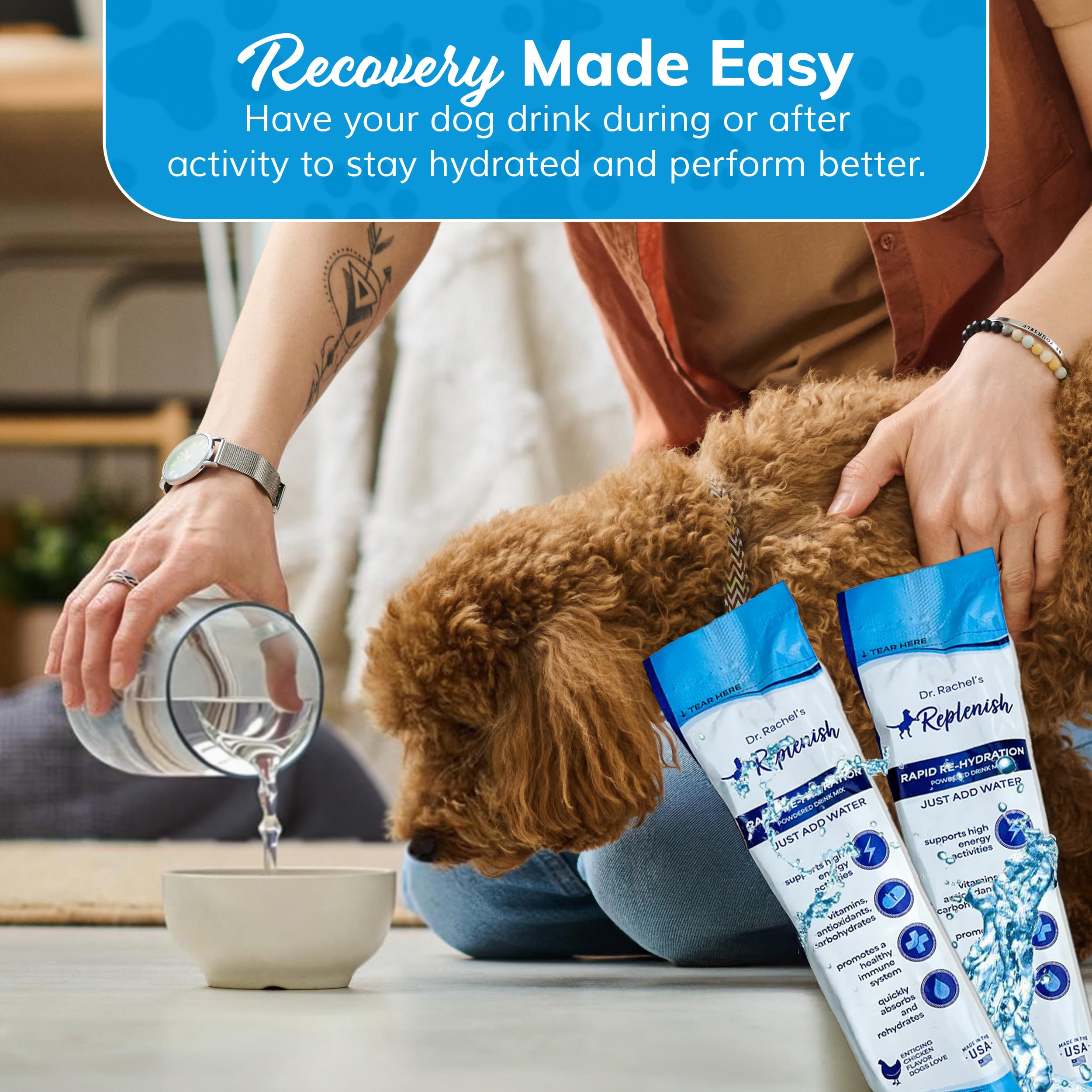 Replenish dog electrolyte powder being poured into water for quick hydration.