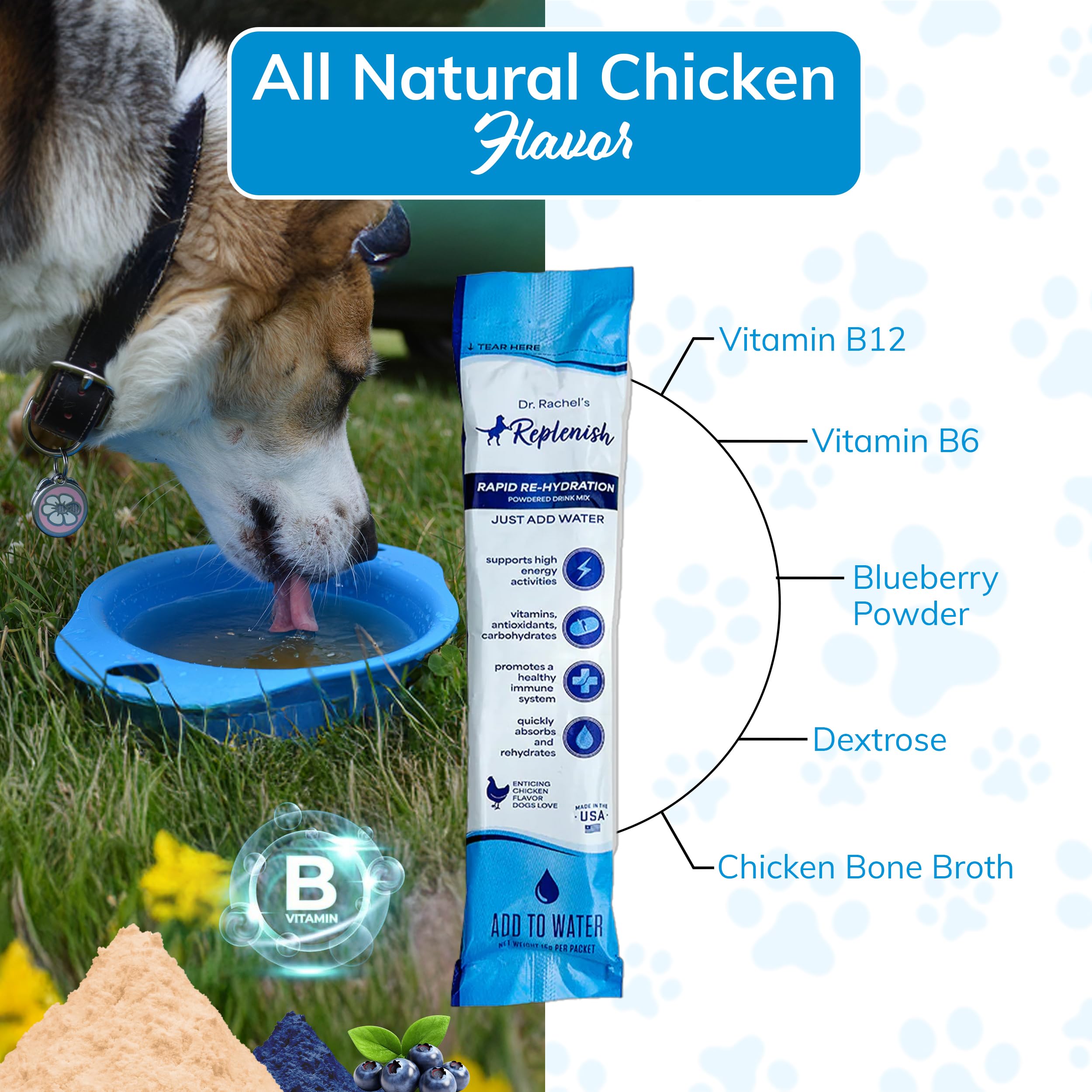 Replenish dog flavored water chicken bowl encourages dogs to drink more.