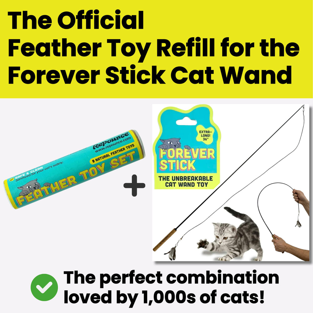 Durable construction withstands enthusiastic pouncing and swats.