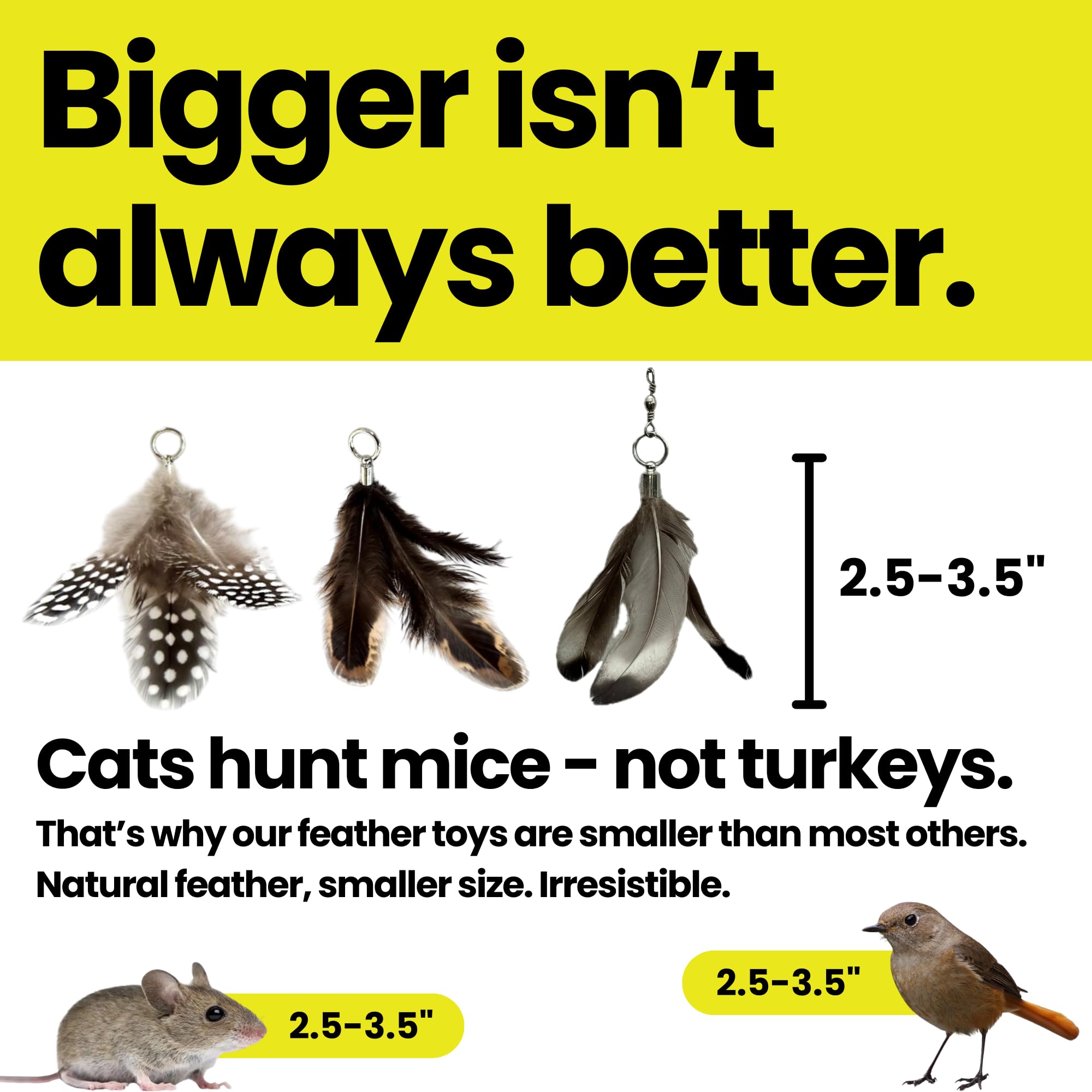 Natural feathers provide soft, realistic prey-like appeal during play.