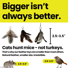 Natural feathers provide soft, realistic prey-like appeal during play.