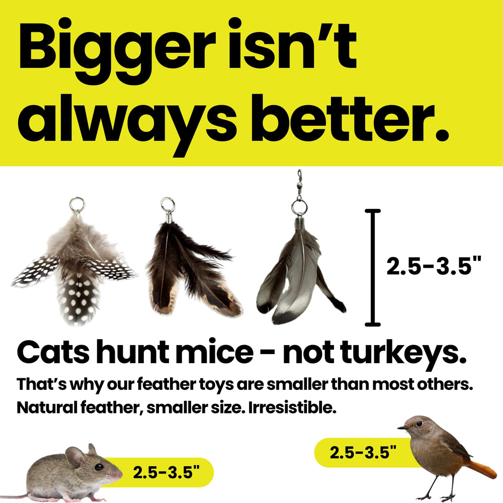 Repounce durable-feather-toy-refill withstands enthusiastic pounces and daily use.