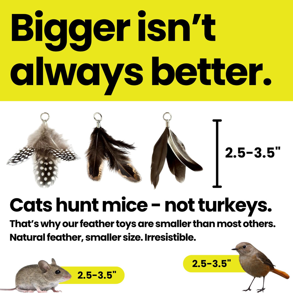 Repounce Forever Stick feather-attachment-style-b adds variety for curious cats.