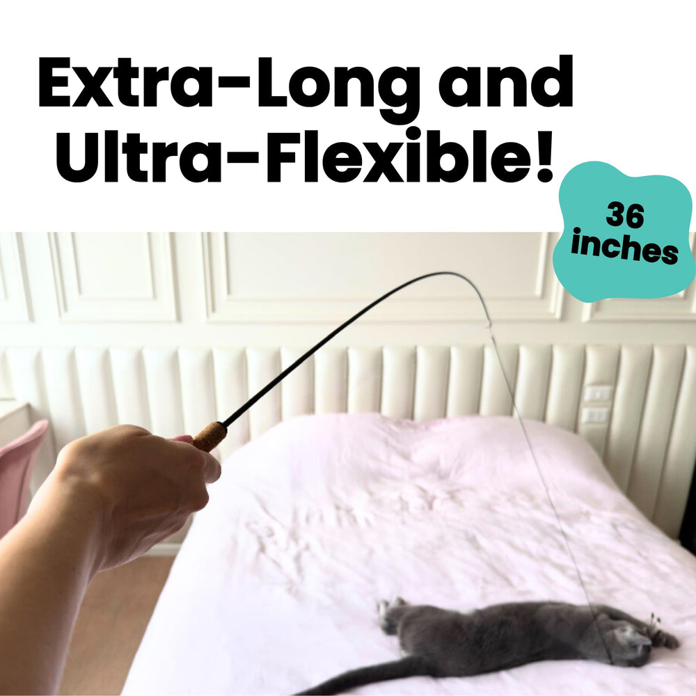 Repounce Forever Stick kitten-friendly design supports gentle indoor play.