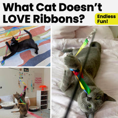Rainbow ribbons for bored indoor cats, stimulating play and movement