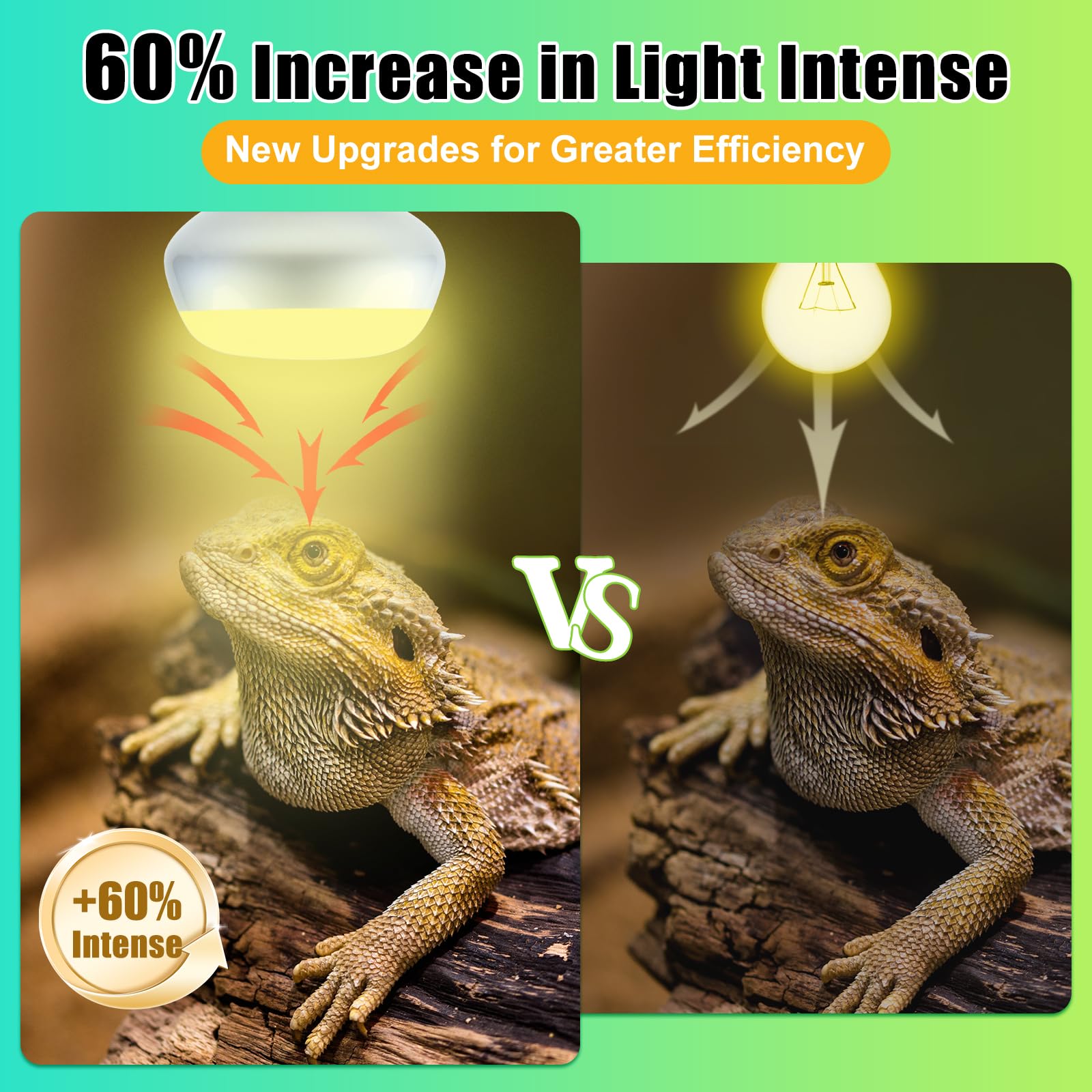 REPTI HOME basking light provides both heat and UVA to support metabolic comfort.