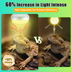 REPTI HOME basking light provides both heat and UVA to support metabolic comfort.