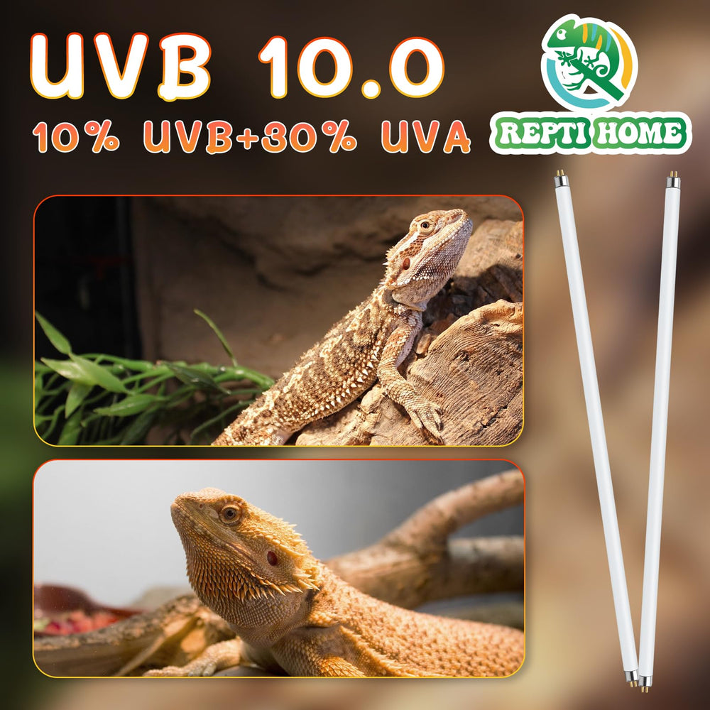 REPTI HOME bearded dragon UVB light supports daytime activity.