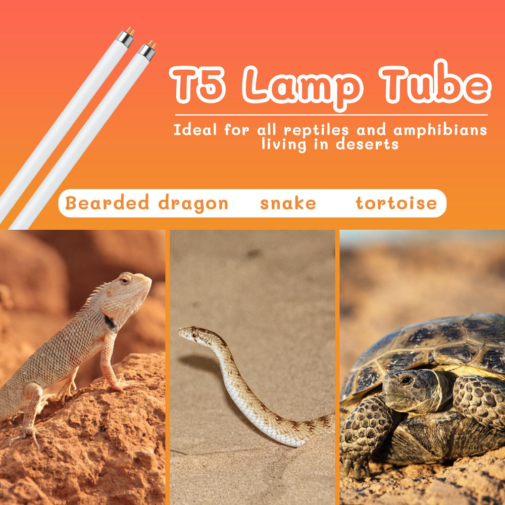 REPTI HOME desert habitat setup featuring the 10.0 UVB light