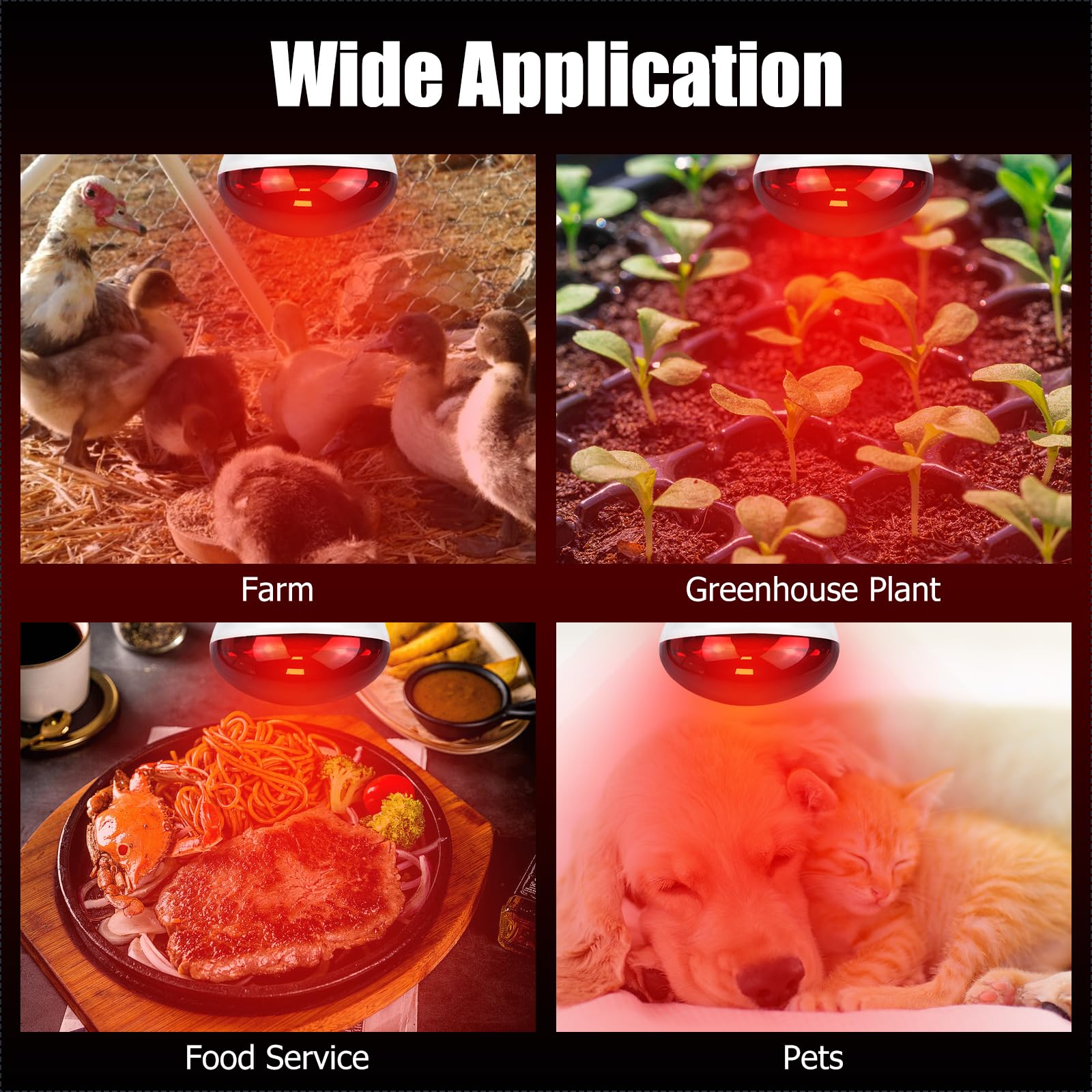 REPTI HOME durable infrared bulb delivering reliable heat for various pets.