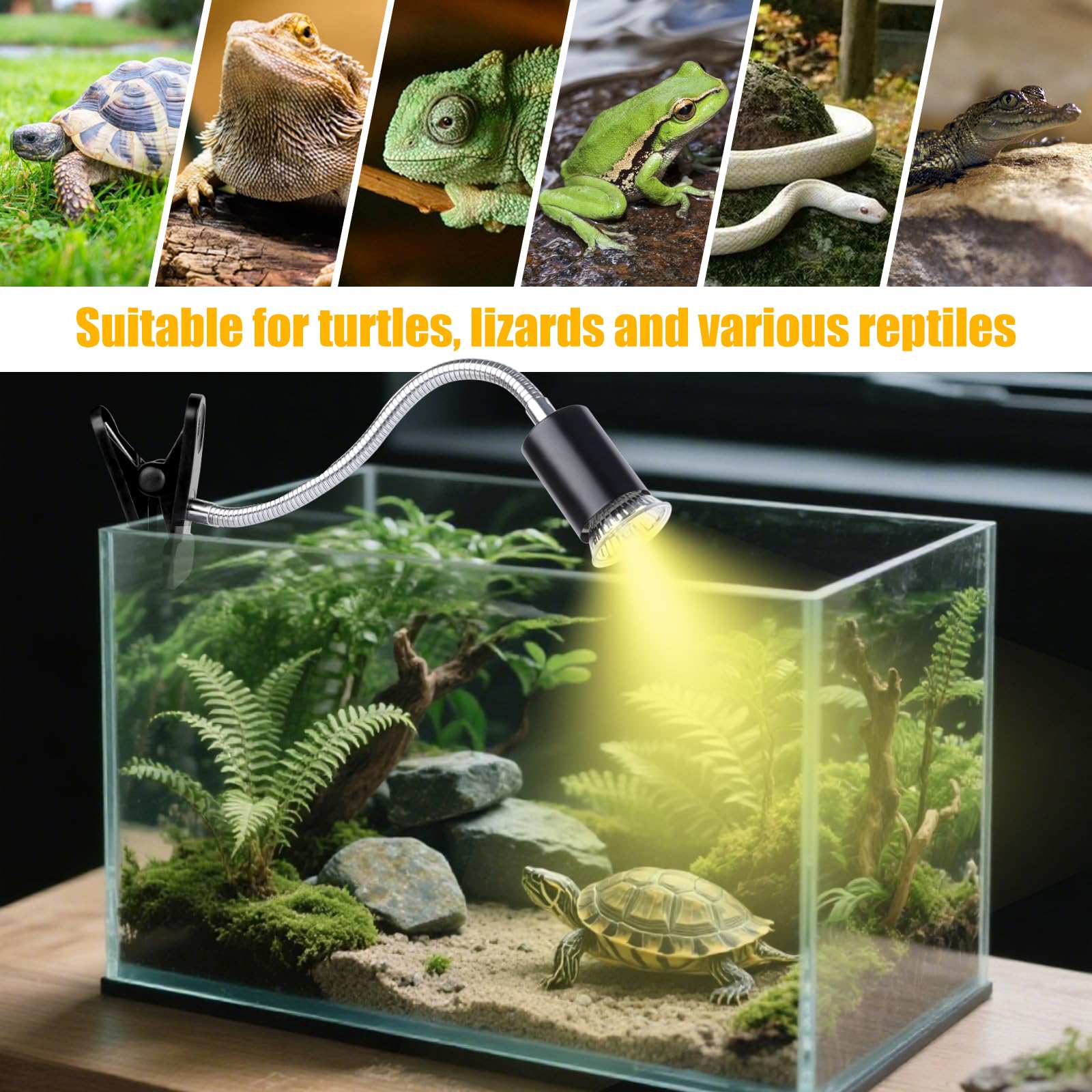 REPTI HOME E26 base compatibility with various bulbs
