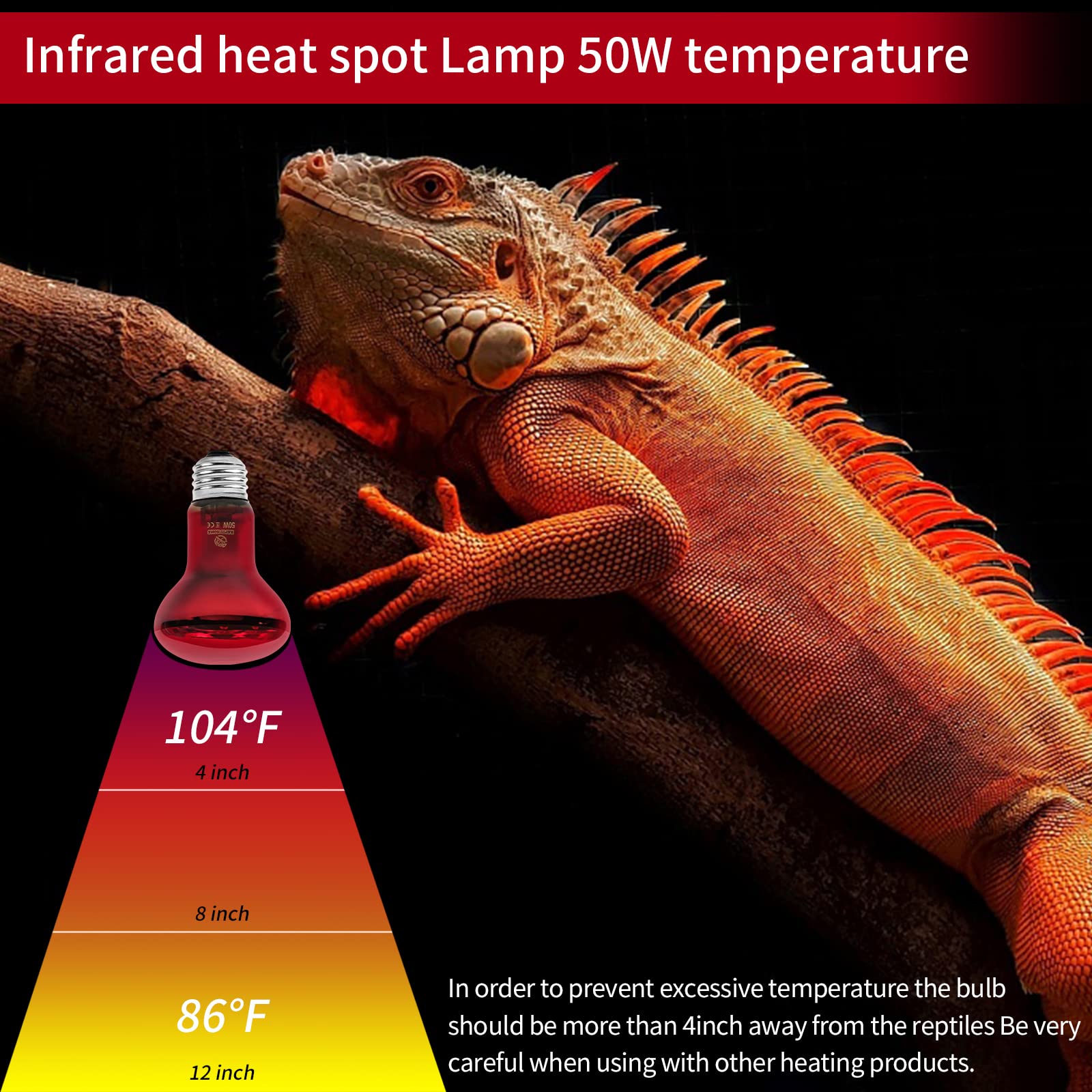 REPTI HOME frosted coating reduces glare for basking pets.
