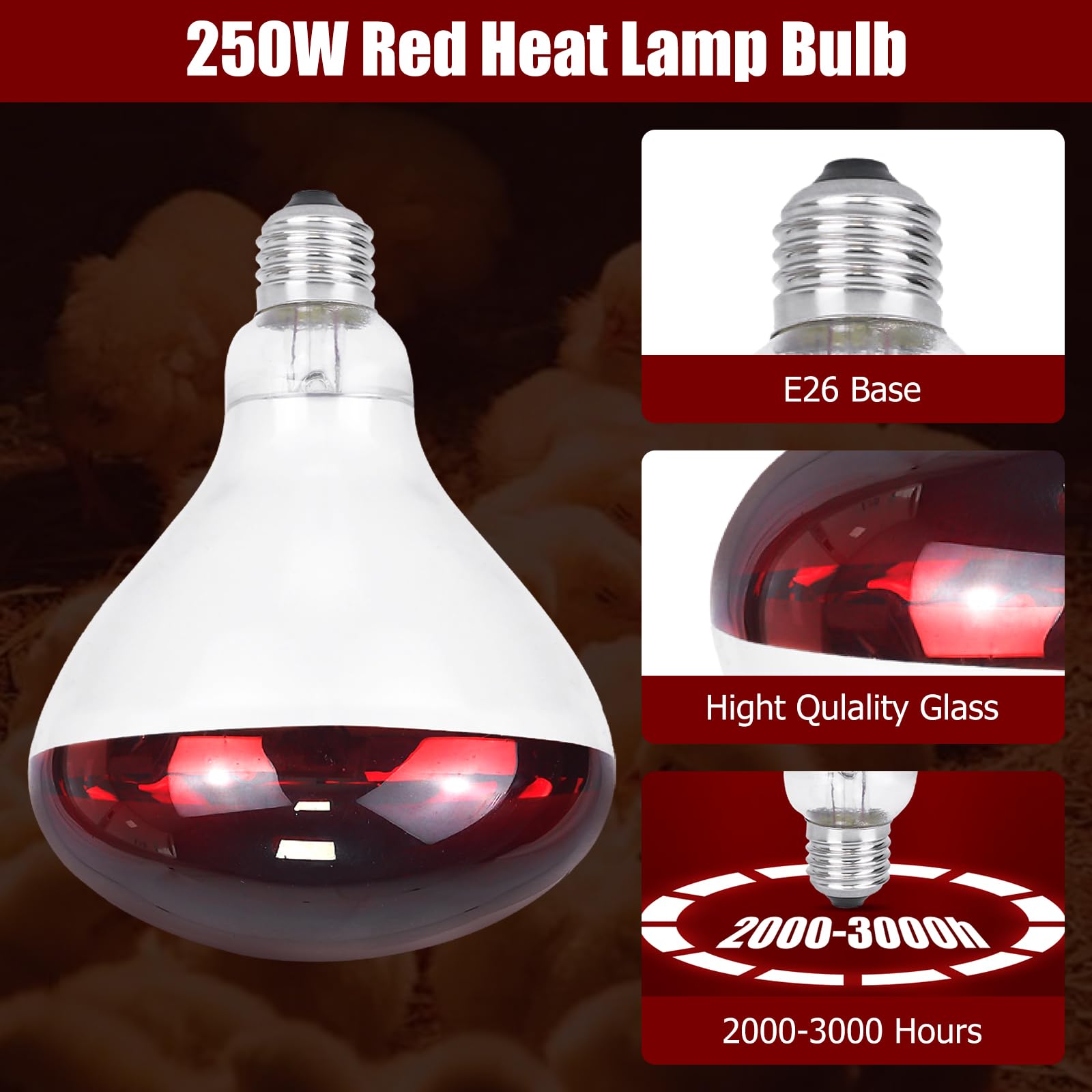 REPTI HOME heat lamp installed in a chicken coop delivering cozy warmth for chicks.