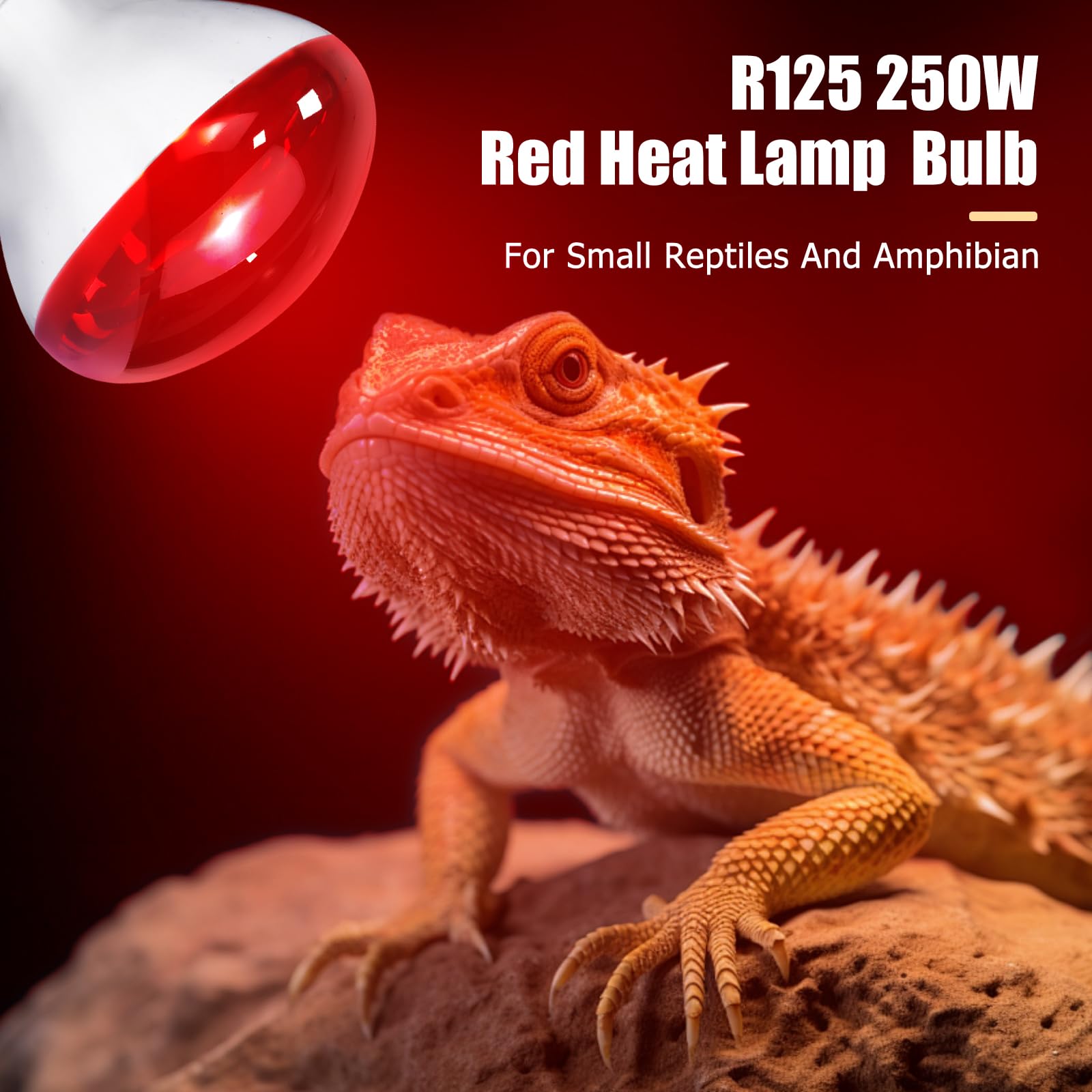 REPTI HOME heat lamp suitable for dogs and cats during cool days.