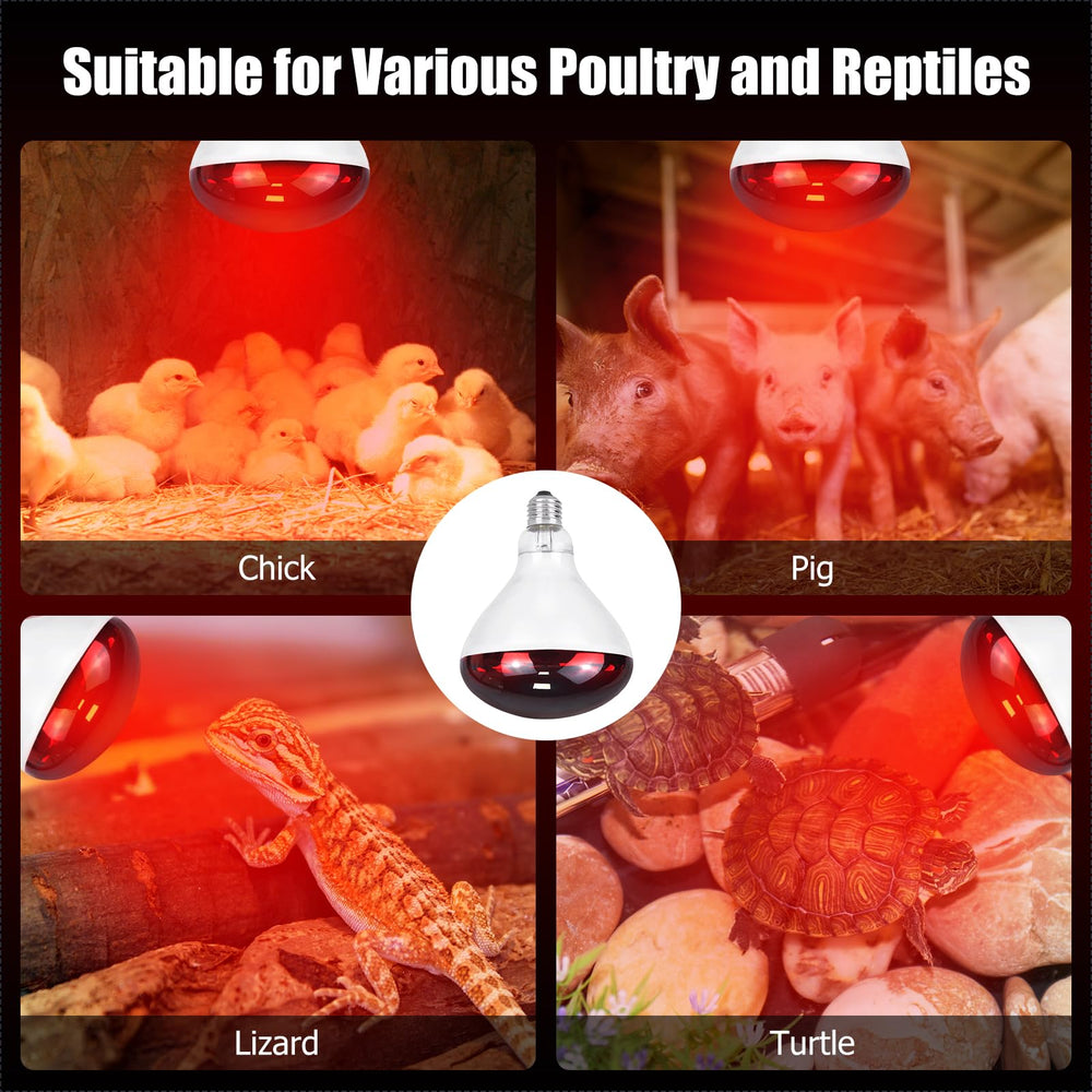 REPTI HOME lamp supports plant seedling growth with steady warmth.