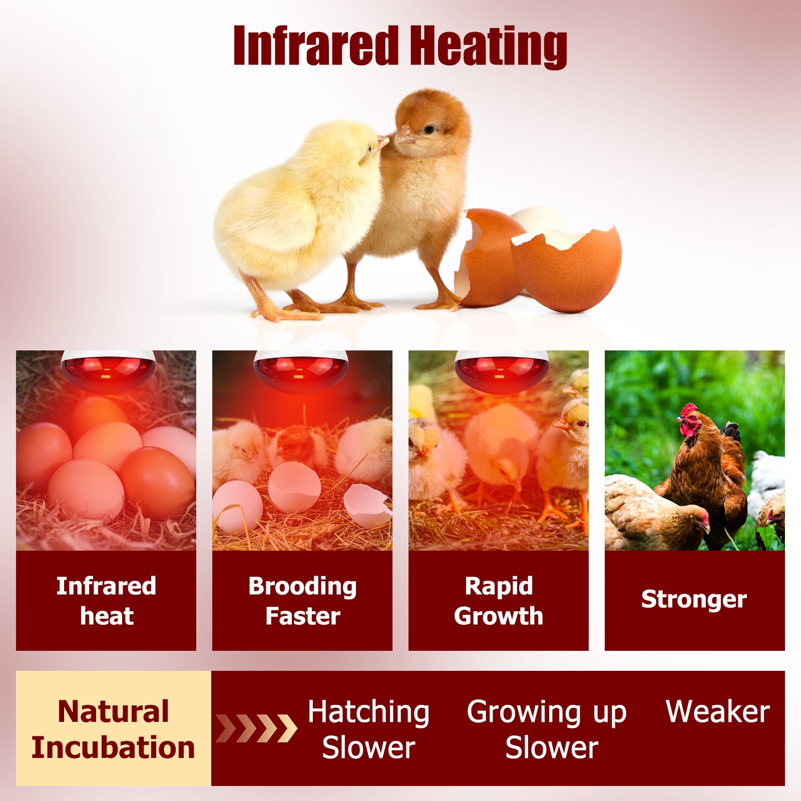 REPTI HOME infrared heat lamp in a reptile enclosure for basking warmth.