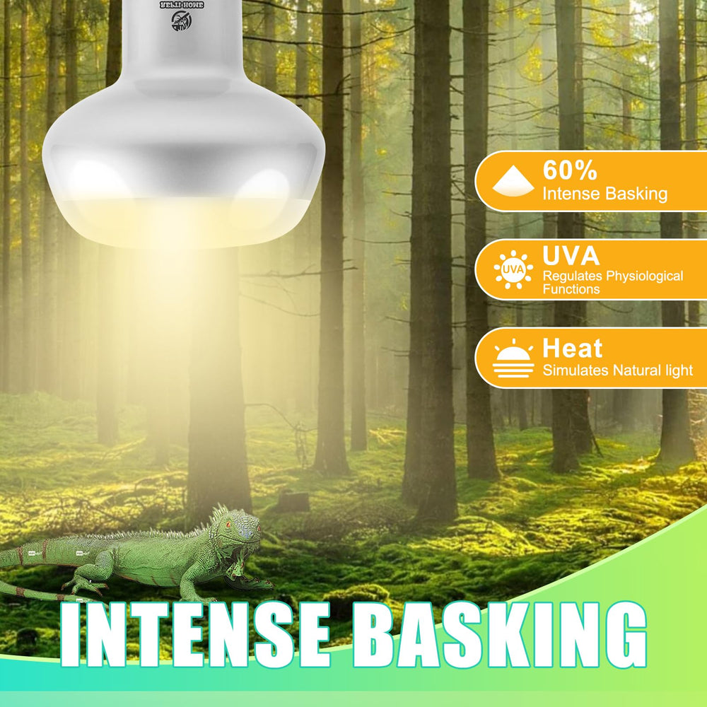 REPTI HOME reptile heat lamp simulates natural sunlight with UVA for healthier daily activity.