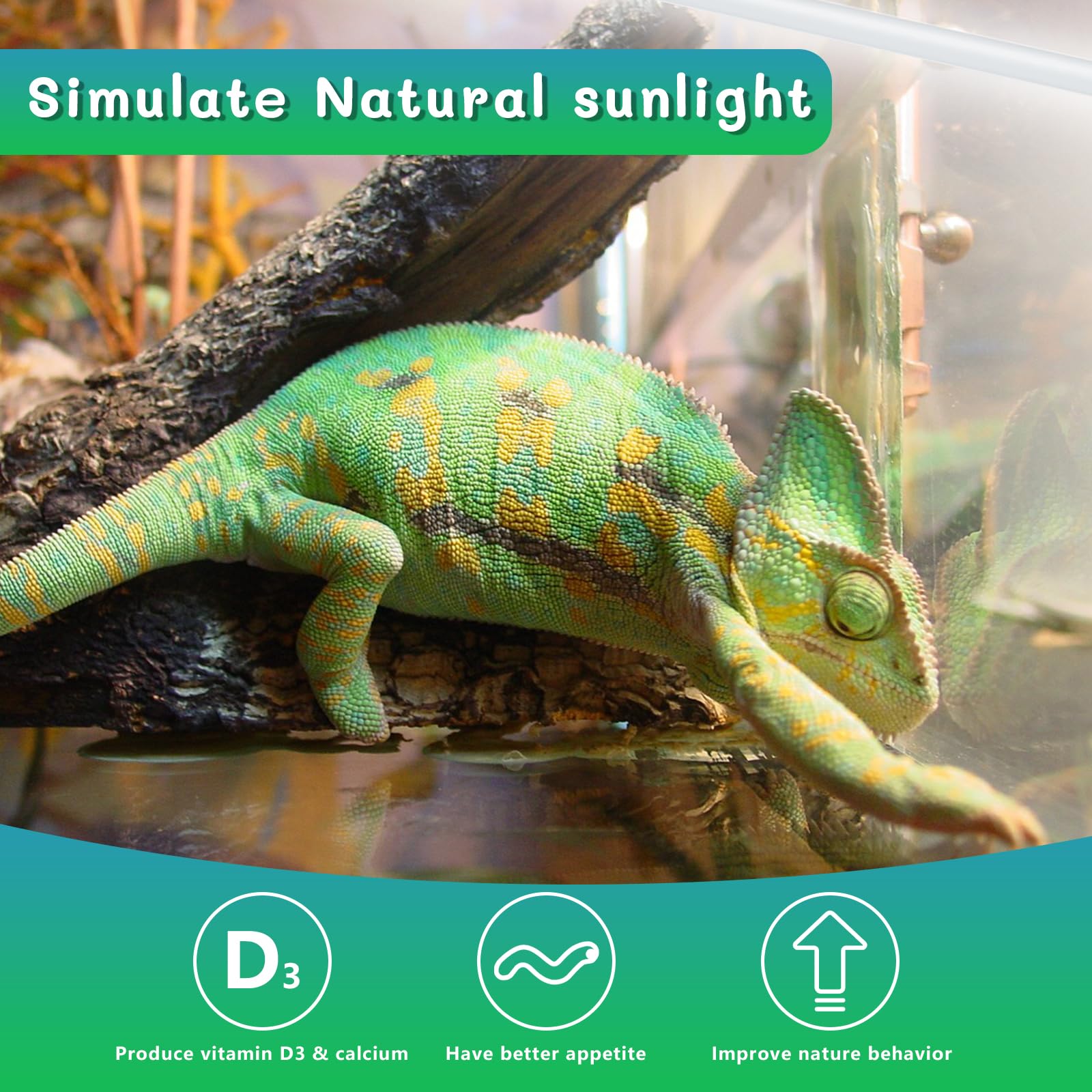 REPTI HOME 5.0 UVB lamp suitable for all reptiles and amphibians.
