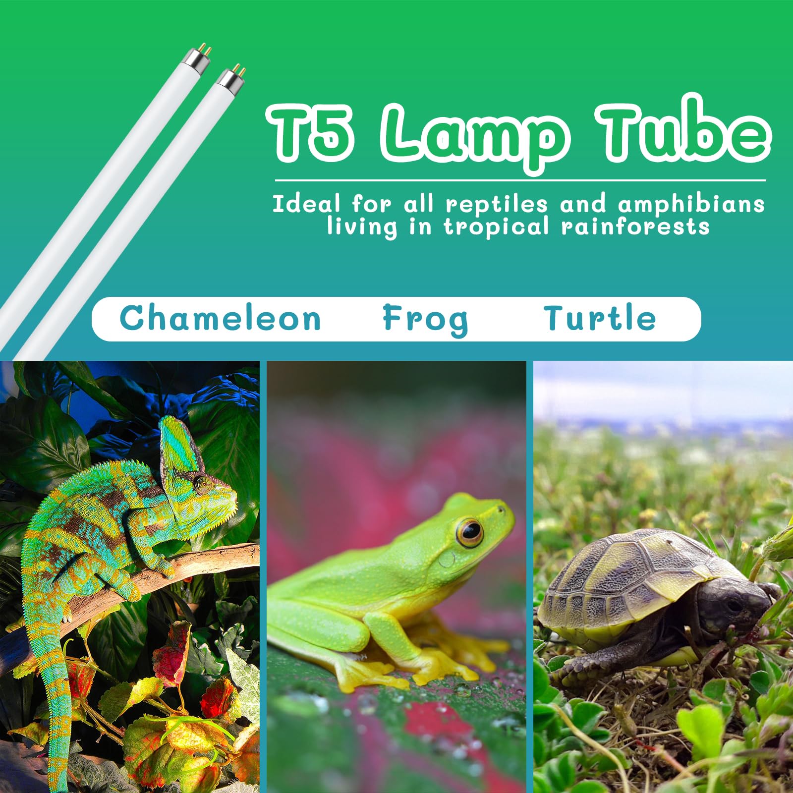REPTI HOME UVB light suited for tropical and desert setups.