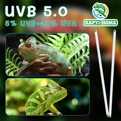 REPTI HOME UVB lamp with ten-thousand-hour life for reliable lighting.