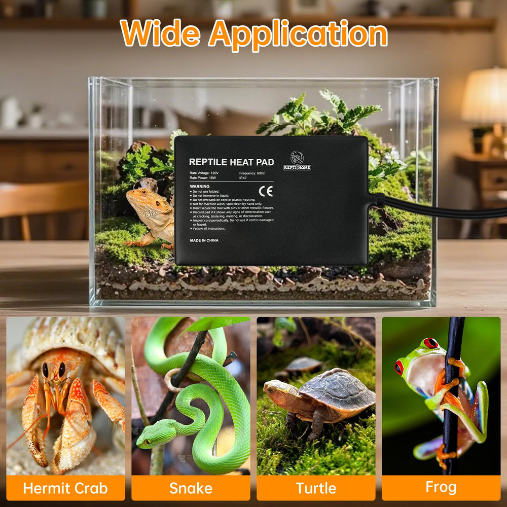 REPTI HOME terrarium-ready heat pad enhances daily activity.