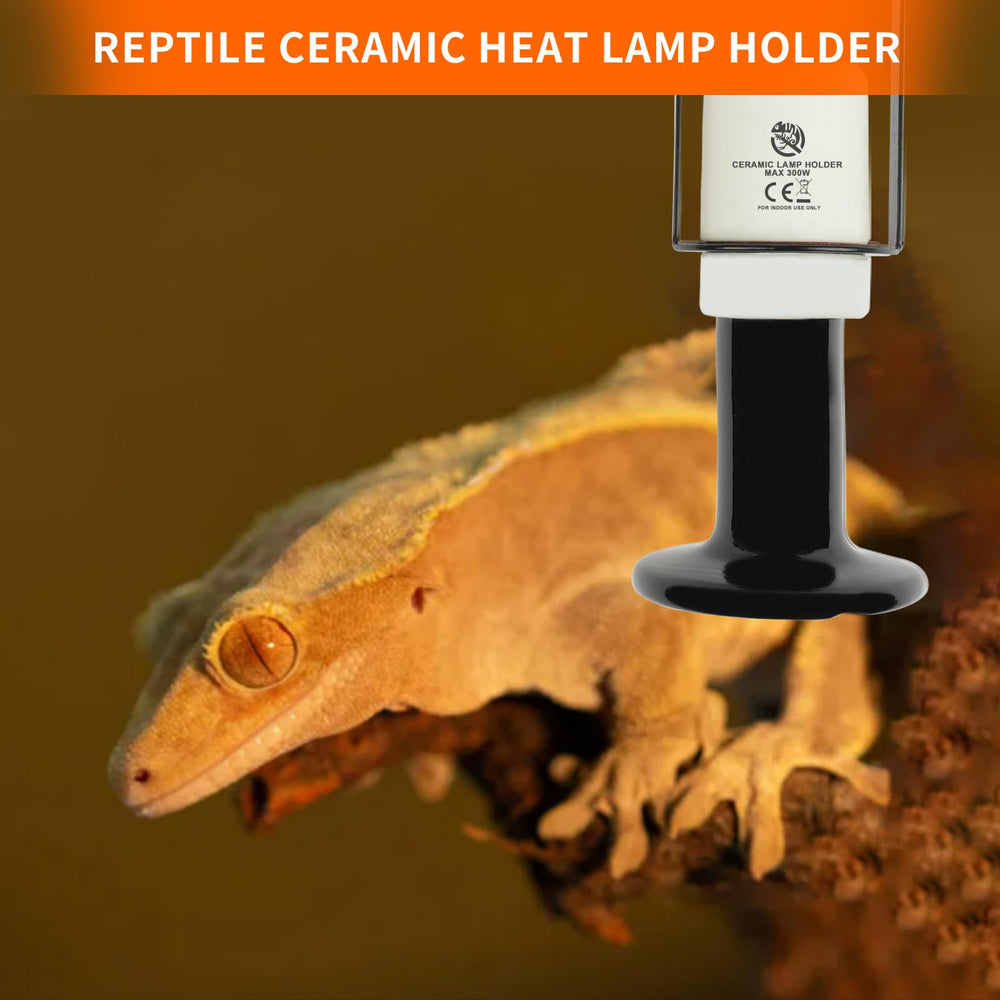 REPTI HOME terrarium setup with lamp holder offering reliable reptile lighting.