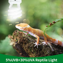 REPTI HOME UVB bulb chameleon-use supports basking behavior