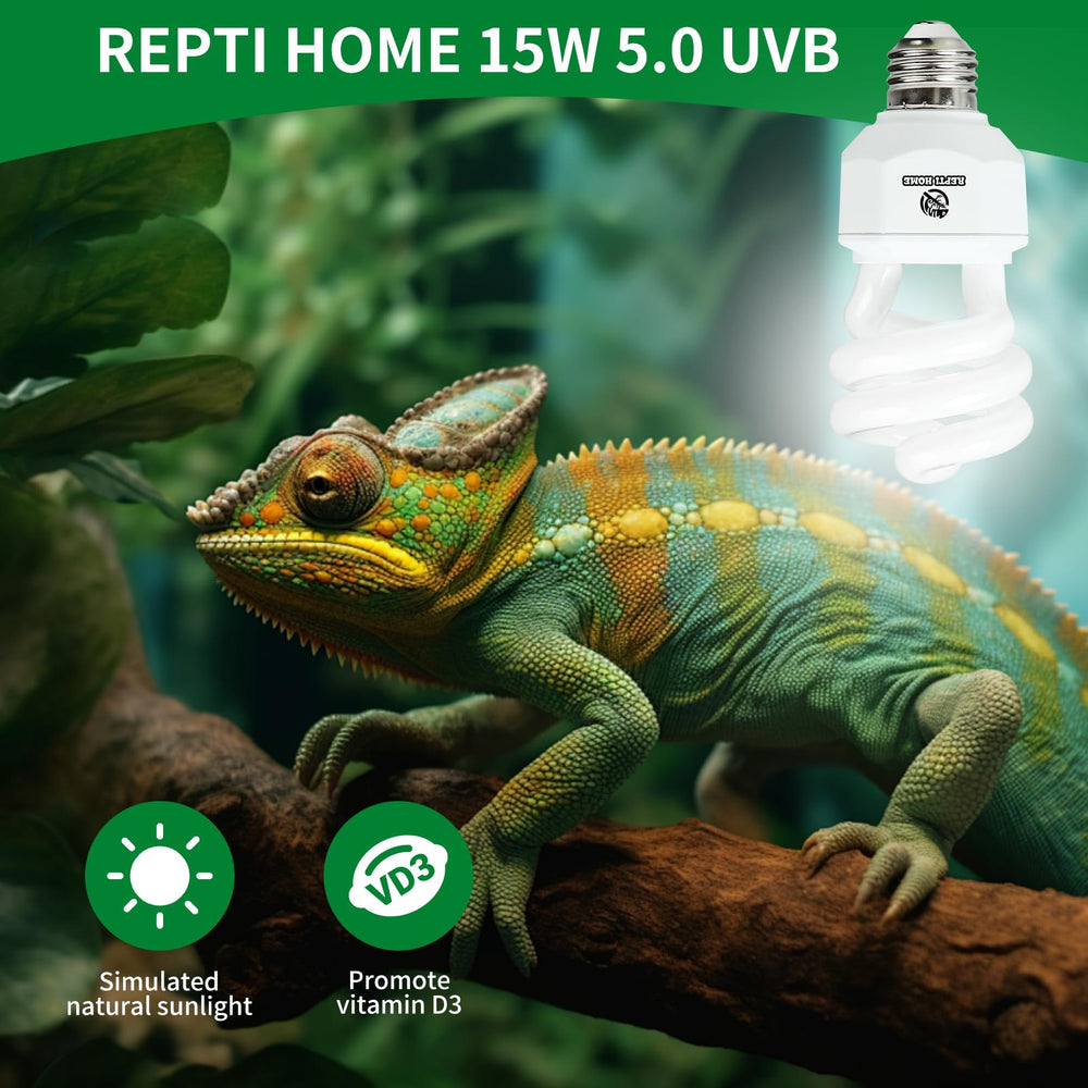 REPTI HOME UVB bulb terrarium-setup with natural daylight feel
