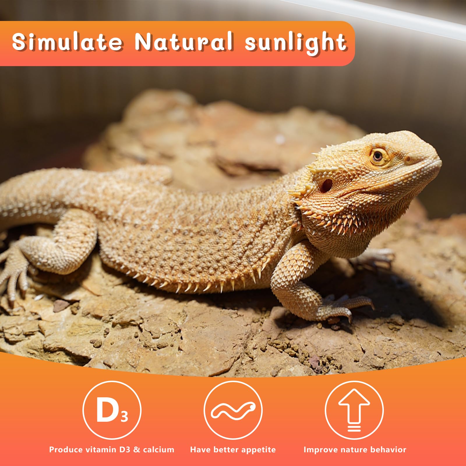 REPTI HOME wide lighting area supports various reptile species.