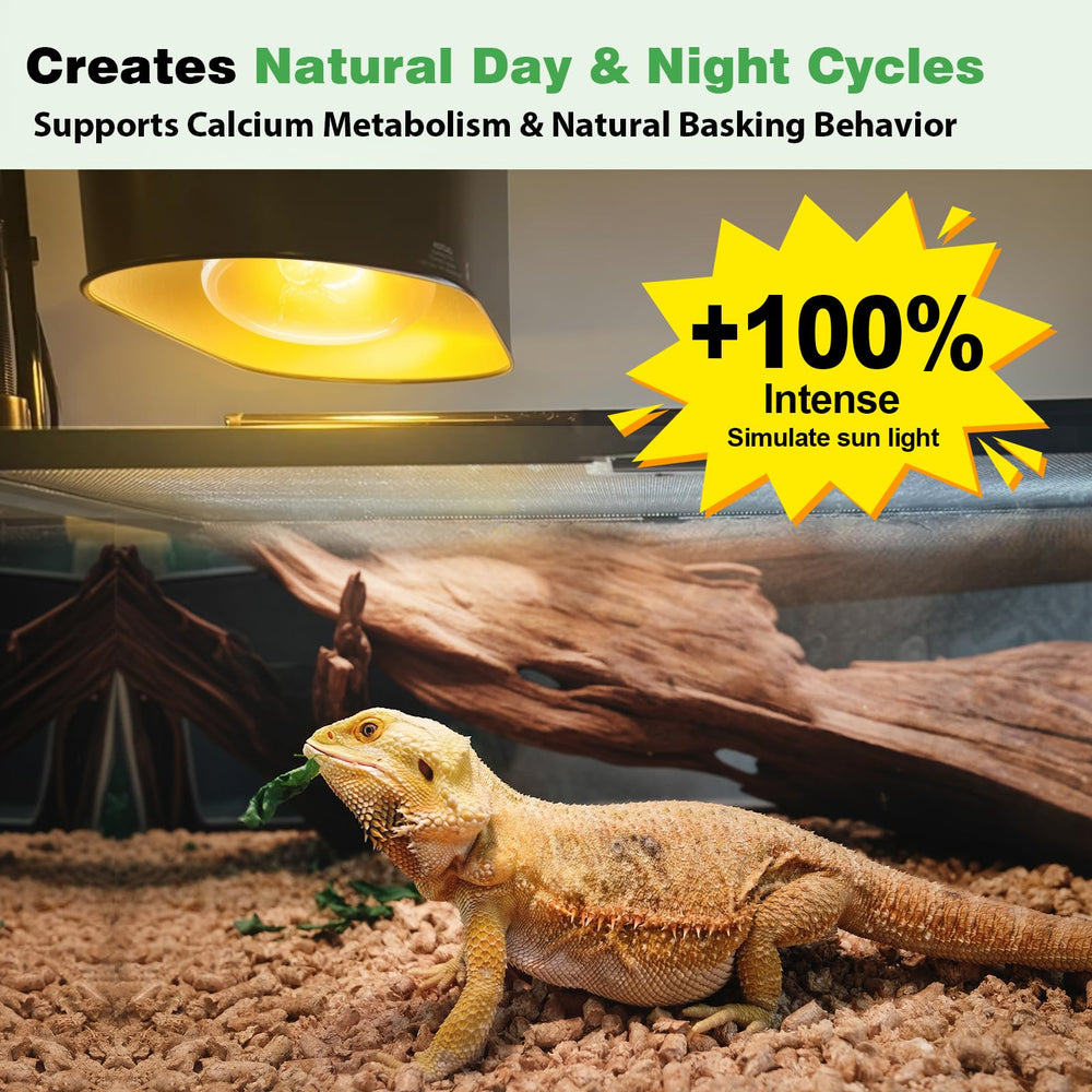 REPTI MATE 160W lamp inside terrarium delivering even warmth and UVB