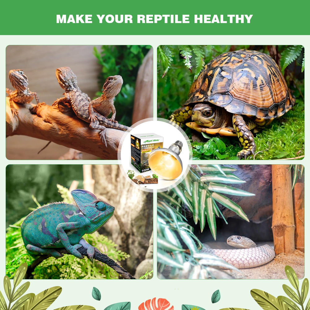 REPTI MATE 160W lamp self-ballasted for easy setup in cages
