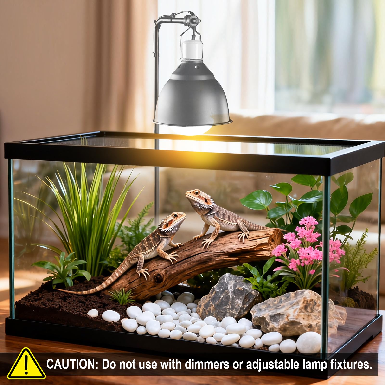 REPTI MATE basking heat for bearded dragons and tortoises