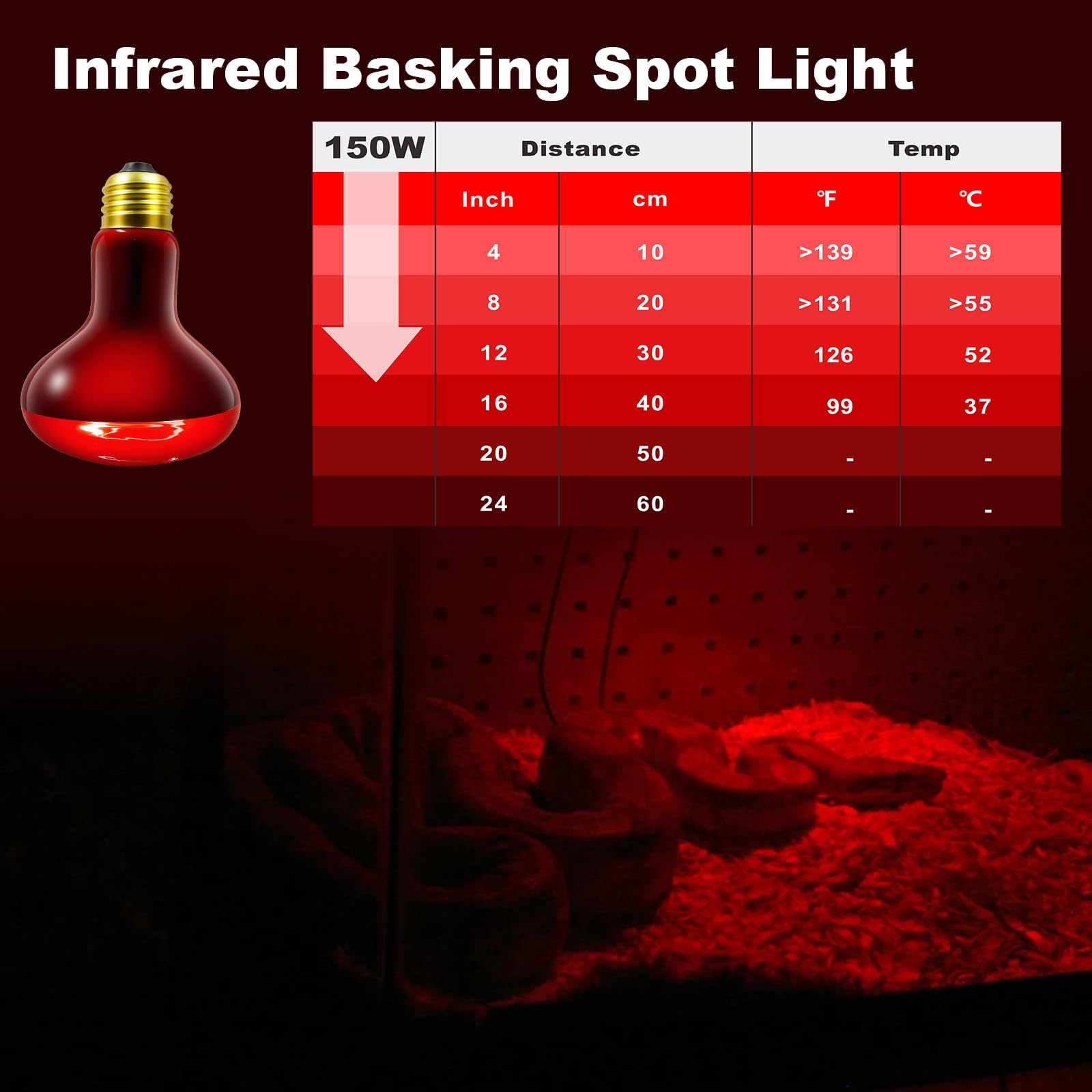 REPTI MATE bearded dragon basking under infrared heat lamp.