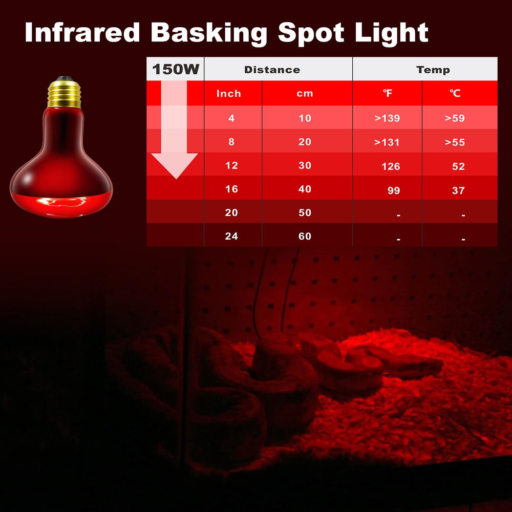 REPTI MATE bearded dragon basking under infrared heat lamp.