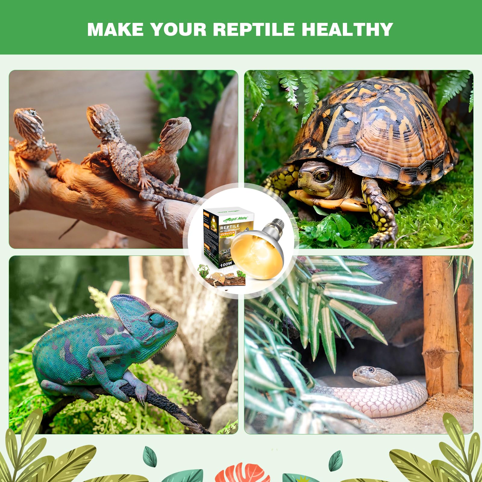 REPTI MATE fragile glass bulb care and safe handling guidance