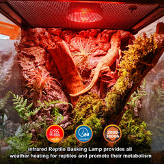 REPTI MATE heat lamp installed in a standard fixture for easy compatibility.