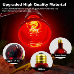 REPTI MATE red glow lights a reptile enclosure for steady warmth.