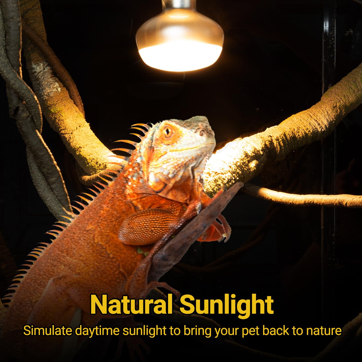 REPTI ZOO 150W heat lamp focuses heat for a strong basking site