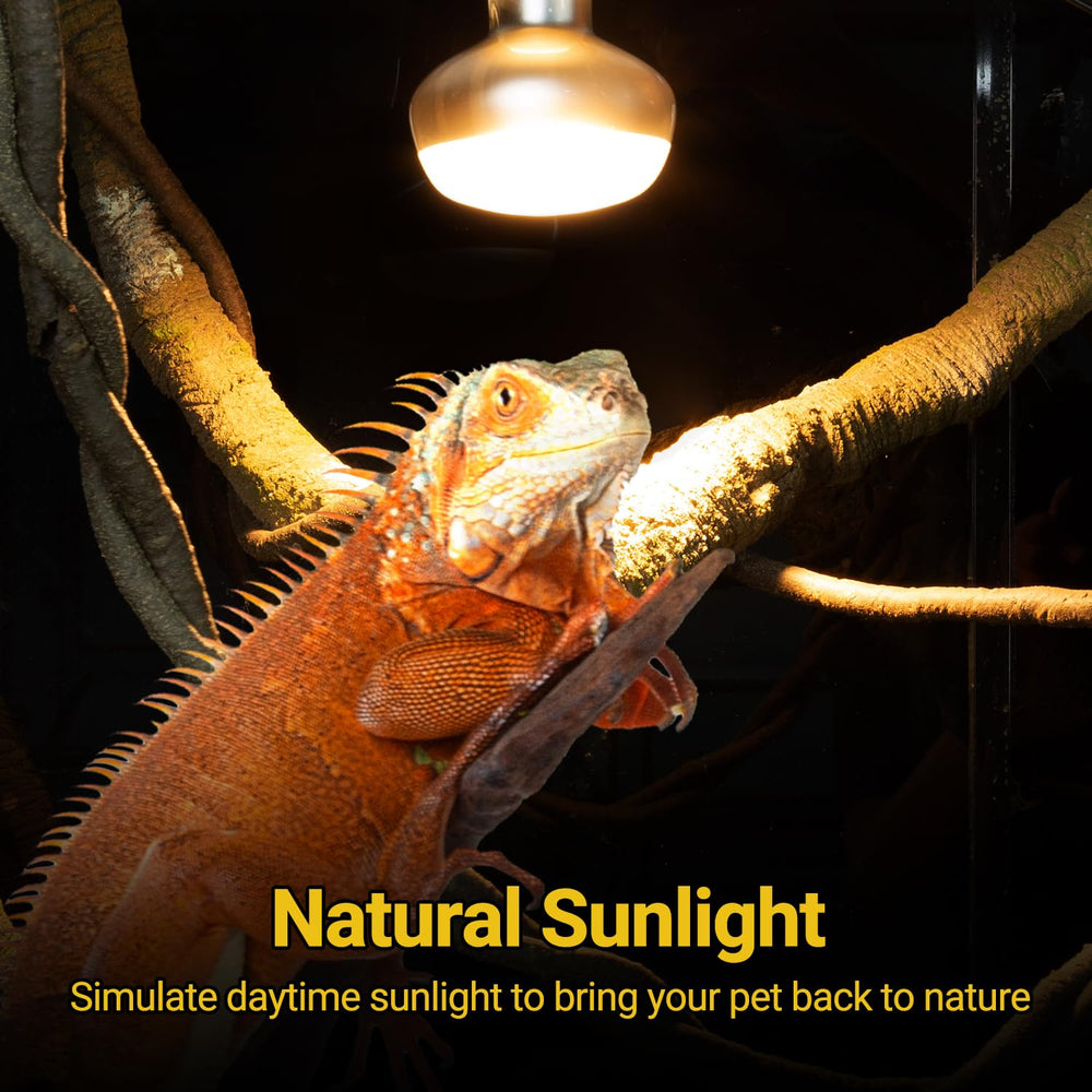 REPTI ZOO 150W heat lamp focuses heat for a strong basking site