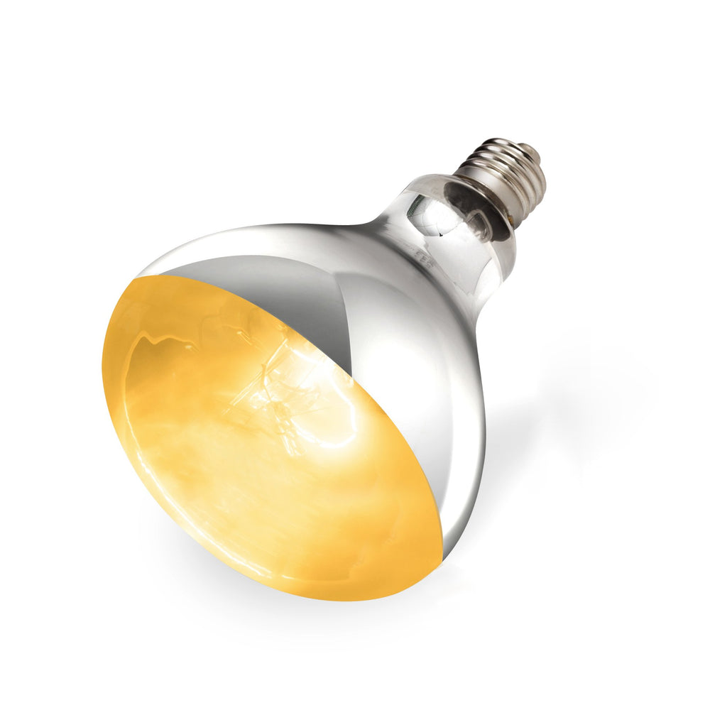 REPTI ZOO 160W heat lamp provides full spectrum warmth for basking.
