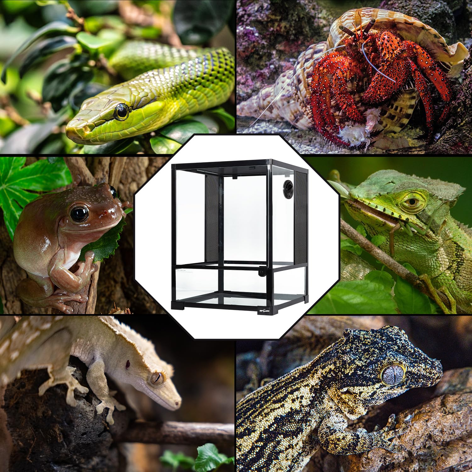 Knock-down assembly previewed for quick setup and safe transport with REPTI ZOO.