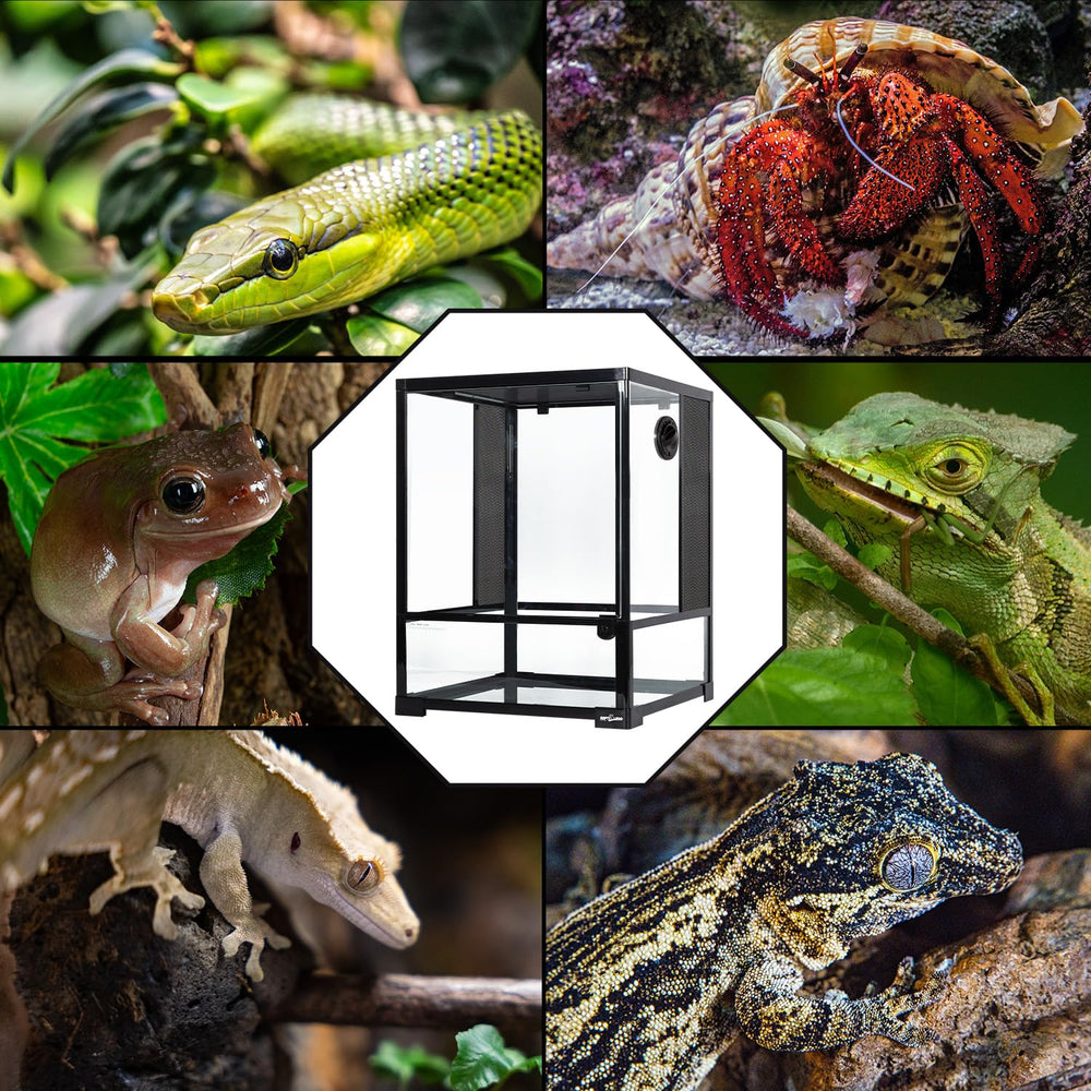 Knock-down assembly previewed for quick setup and safe transport with REPTI ZOO.